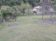 Satılır 10 sot torpaq Qax