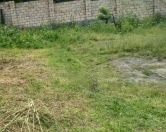 Satılır 4.6 sot torpaq Qəbələ