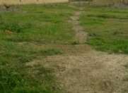 Satılır 3 sot torpaq Y.Ramana