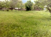 Satılır 7 sot torpaq Qəbələ