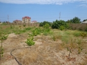 Satılır 6.5 sot torpaq Pirşağı