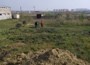 Satılır 600 sot torpaq Məhəmmədli