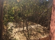 İcarəyə verilir 3 otaqlı 2 m2 bağ evi Görədil