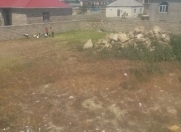 Satılır 8 sot torpaq Savalan