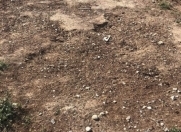 Satılır 6 sot torpaq Puta