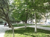 Satılır 3 sot torpaq Masazır