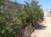Satılır 4 otaqlı 120 m2 həyət evi Xocəsən