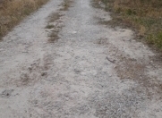 Satılır 80 sot torpaq Masazır