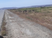 Satılır 128 sot torpaq Saray