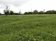 Satılır 30 sot torpaq Qəbələ