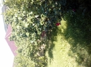 Satılır 9.5 sot torpaq Qurtuluş - 93 Yaşayış Kompleksi