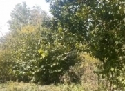 Satılır 3 otaqlı 99.5 m2 həyət evi İsmayıllı