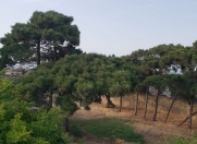 Satılır 37 sot torpaq Buzovna