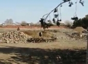 Satılır 125 sot torpaq Gəncə