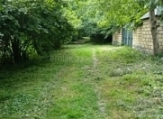 Satılır 6 sot torpaq Qəbələ