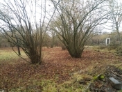 Satılır 30 sot torpaq Qəbələ