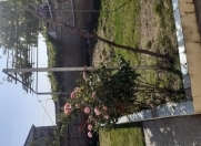 Satılır 2.5 sot torpaq Zabrat 2