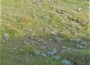 Satılır 4 sot torpaq Badamdar