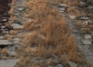 Satılır 10 sot torpaq Məhəmmədli