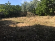 Satılır 60 sot torpaq Badamdar