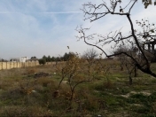 Satılır 5 sot torpaq Fatmayı