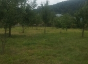 Satılır 10 sot torpaq Qəbələ