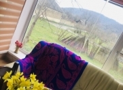 Satılır 4 otaqlı 300 m2 həyət evi Qəbələ