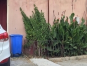 İcarəyə verilir 9 otaqlı 300 m2 həyət evi 7 mkr