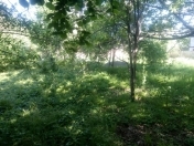 Satılır 59 sot torpaq Qəbələ