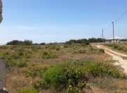 Satılır 50 sot torpaq Maştağa