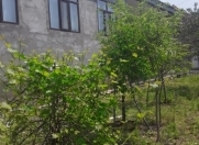 Satılır 3 otaqlı 125 m2 həyət evi Oğuz