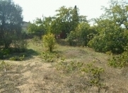 Satılır 15 sot torpaq Bilgəh