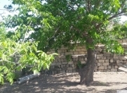 Satılır 7 sot torpaq Saray