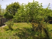 Satılır 10 sot torpaq Qəbələ