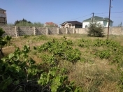 Satılır 6 sot torpaq Novxanı