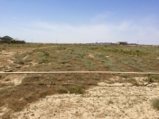 Satılır 3 sot torpaq Hövsan