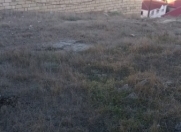 Satılır 6 sot torpaq Səbail r.