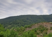 Satılır 9 sot torpaq İsmayıllı