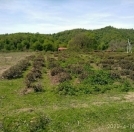 Satılır 21 sot torpaq Zaqatala