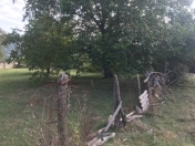 Satılır 13.6 sot torpaq Qəbələ