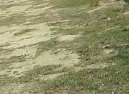 Satılır 10 sot torpaq Saray