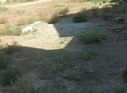 Satılır 5 sot torpaq Atyalı