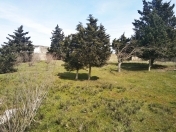 Satılır 100 sot torpaq Nardaran