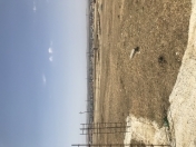 Satılır 44 sot torpaq Saray