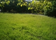 Satılır 6 sot torpaq Qəbələ