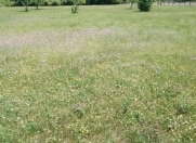 Satılır 10 sot torpaq Qusar