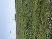 Satılır 100 sot torpaq Binə