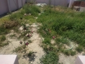 Satılır 4 otaqlı 112 m2 bağ evi Türkan