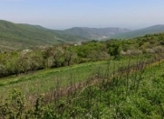 Satılır 310 sot torpaq Quba