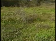 Satılır 12 sot torpaq Lənkəran